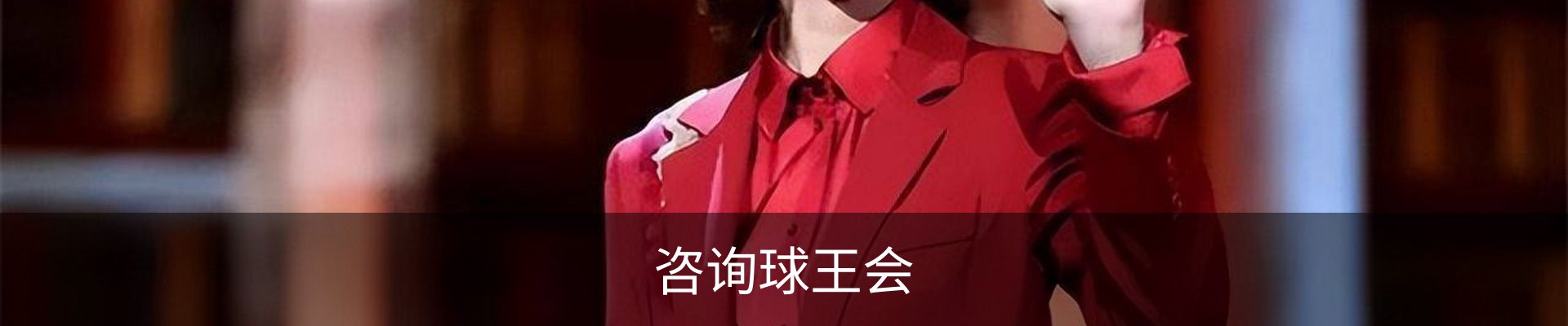 咨询球王会