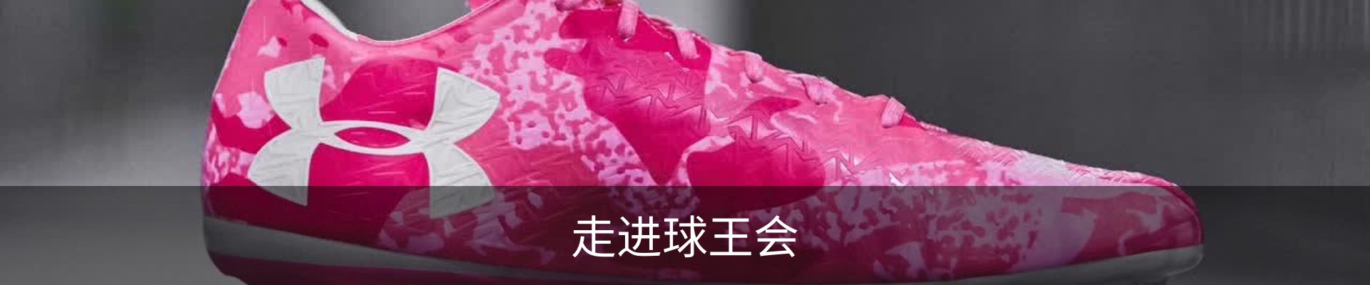 走进球王会